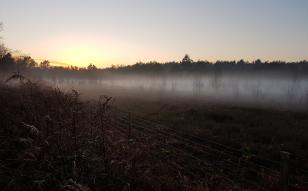 Sunrise at Broadland Country Park on a misty autumn morning