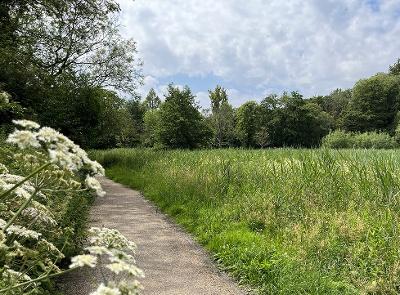 A path through Cringleford Meadow on the Yare Valley Walk.