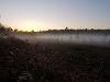 Mist over Broadland Country Park.