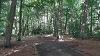 Part of the paved pathway in Harrison's Wood.