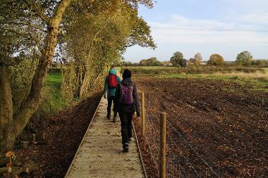 Two people walking on a boardwalk on Kett's Trail.