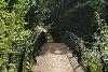 View across Colney River Crossing in summer.