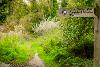Path through Cringleford Meadow with a wooden signpost pointing to Yare Valley Walk, Cringleford Meadow and the UEA. (Photo by Fisheye)