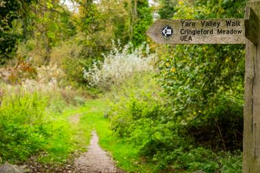 Path through Cringleford Meadow with a wooden signpost pointing to Yare Valley Walk, Cringleford Meadow and the UEA. (Photo by Fisheye)