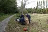 Photograph of 3 workers constructing a wooden bench next to the path through Cringleford Meadow. (Photo by Robert Stubbs)