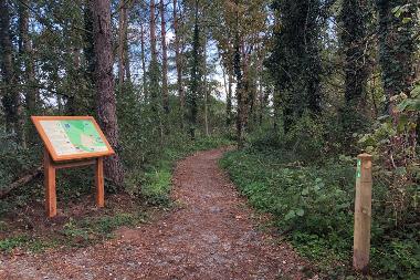 Path through the woods at Thorpe Marriott Greenway with an information board and waymarkers.