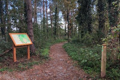 Path through the woods at Thorpe Marriott Greenway with an information board and waymarkers.