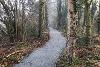 A newly laid path through a wooded area on the Thorpe Marriott Greenway.
