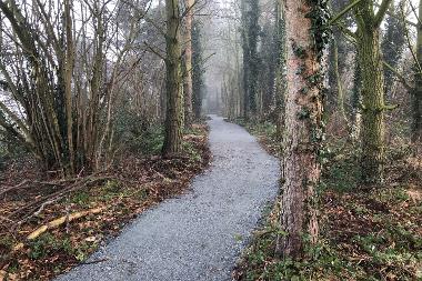 A newly laid path through a wooded area on the Thorpe Marriott Greenway.