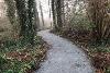 A newly laid path through a wooded area on the Thorpe Marriott Greenway.