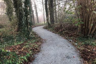 A newly laid path through a wooded area on the Thorpe Marriott Greenway.