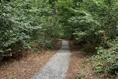 A newly laid footpath running through woodland at Twenty Acre Wood.