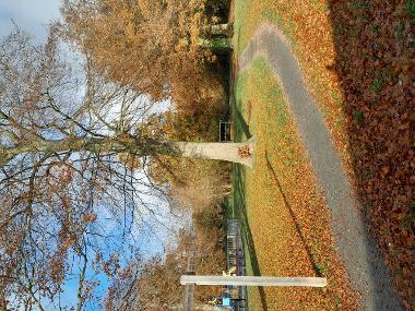 A footpath approaching Twenty Acre Wood, with a signpost in the foreground.