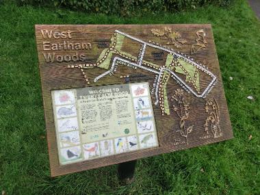 An information board at Twenty Acre Wood with a map and information about local plants and wildlife.