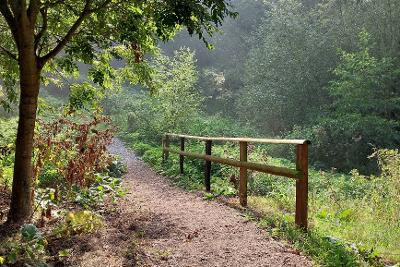 A footpath running through woodland at Frenze Beck.