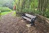 A bench overlooking the water at Frenze Beck.