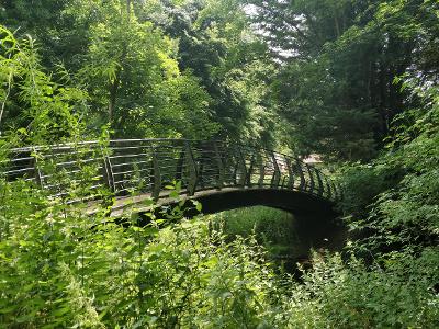 A bridge over a river surrounded by foliage.