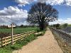 The Bure Valley Path, featuring a bench, a signpost and the steam train line.