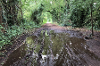 An image of a muddy path along the Marriott's Way prior to the resurfacing works.